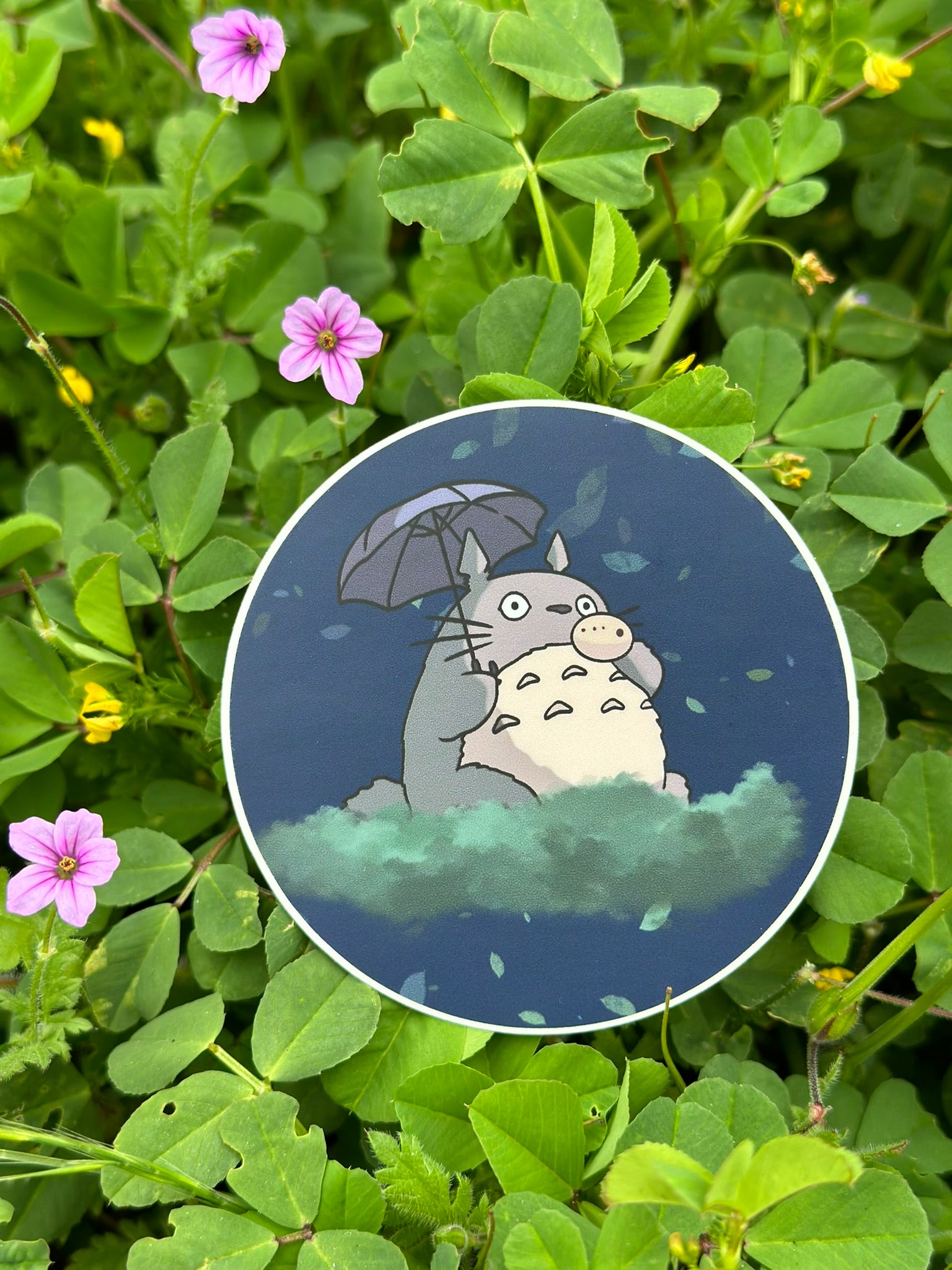My neighbor