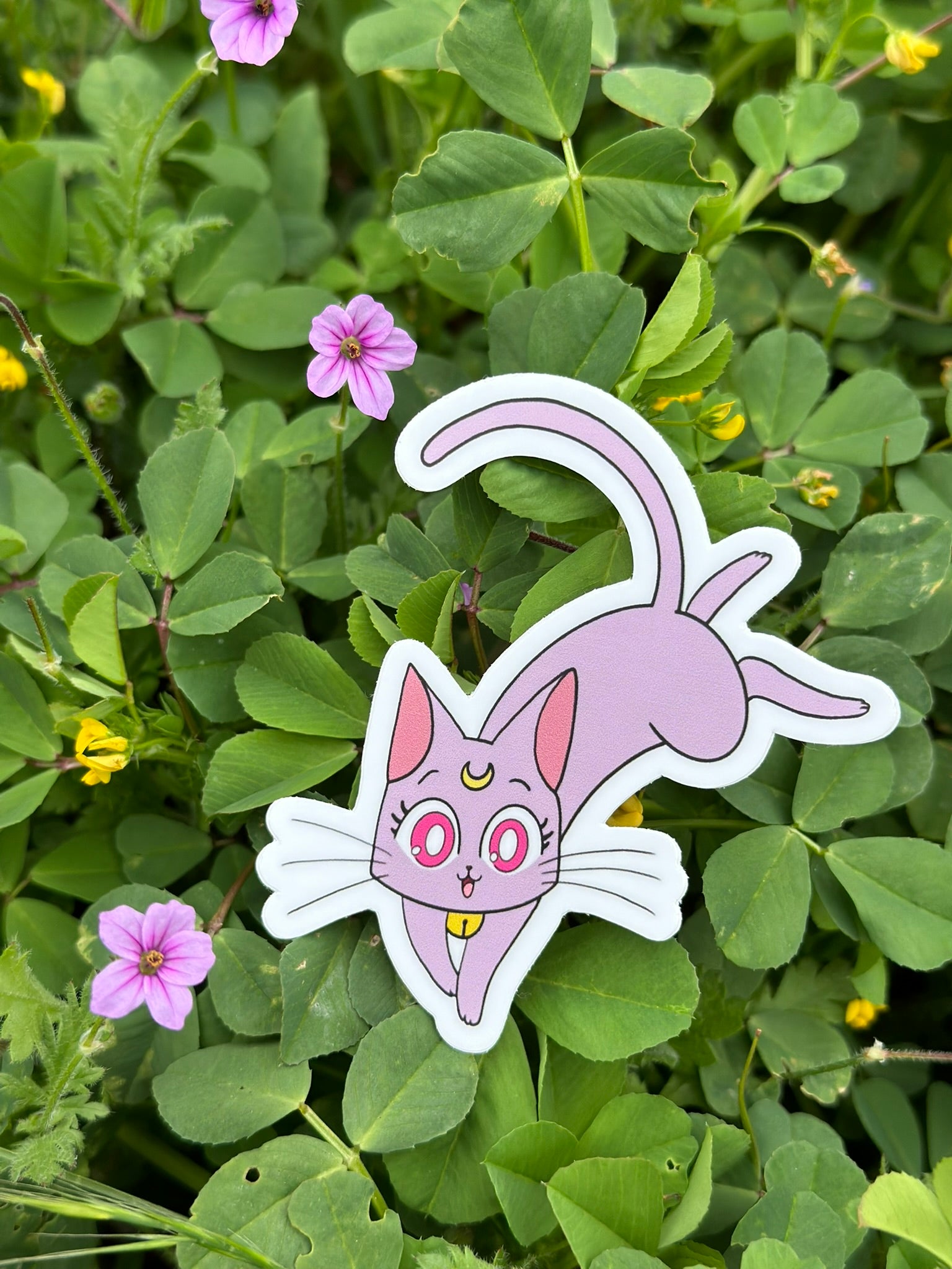 Moon kitten