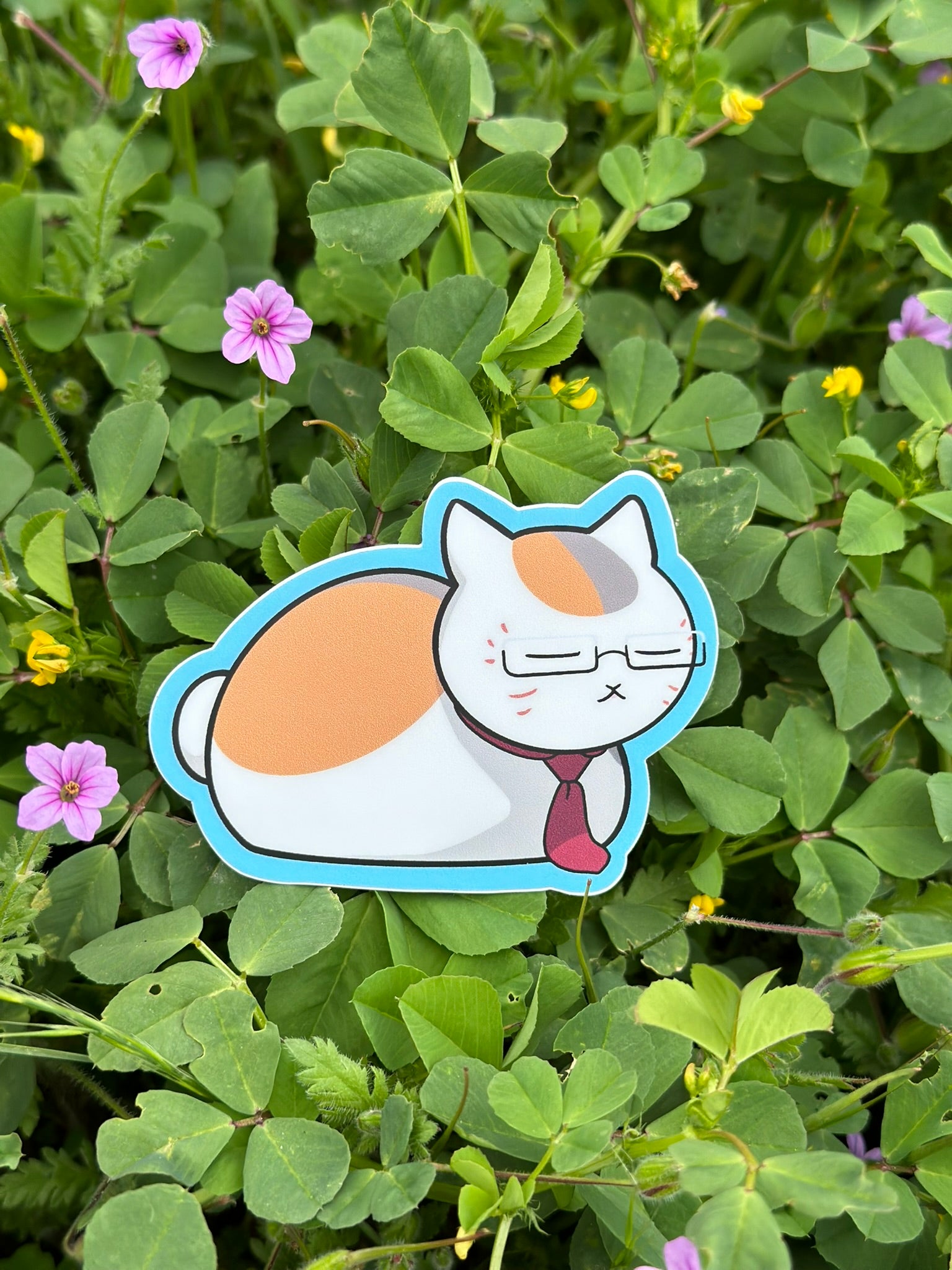 Neko Sensei