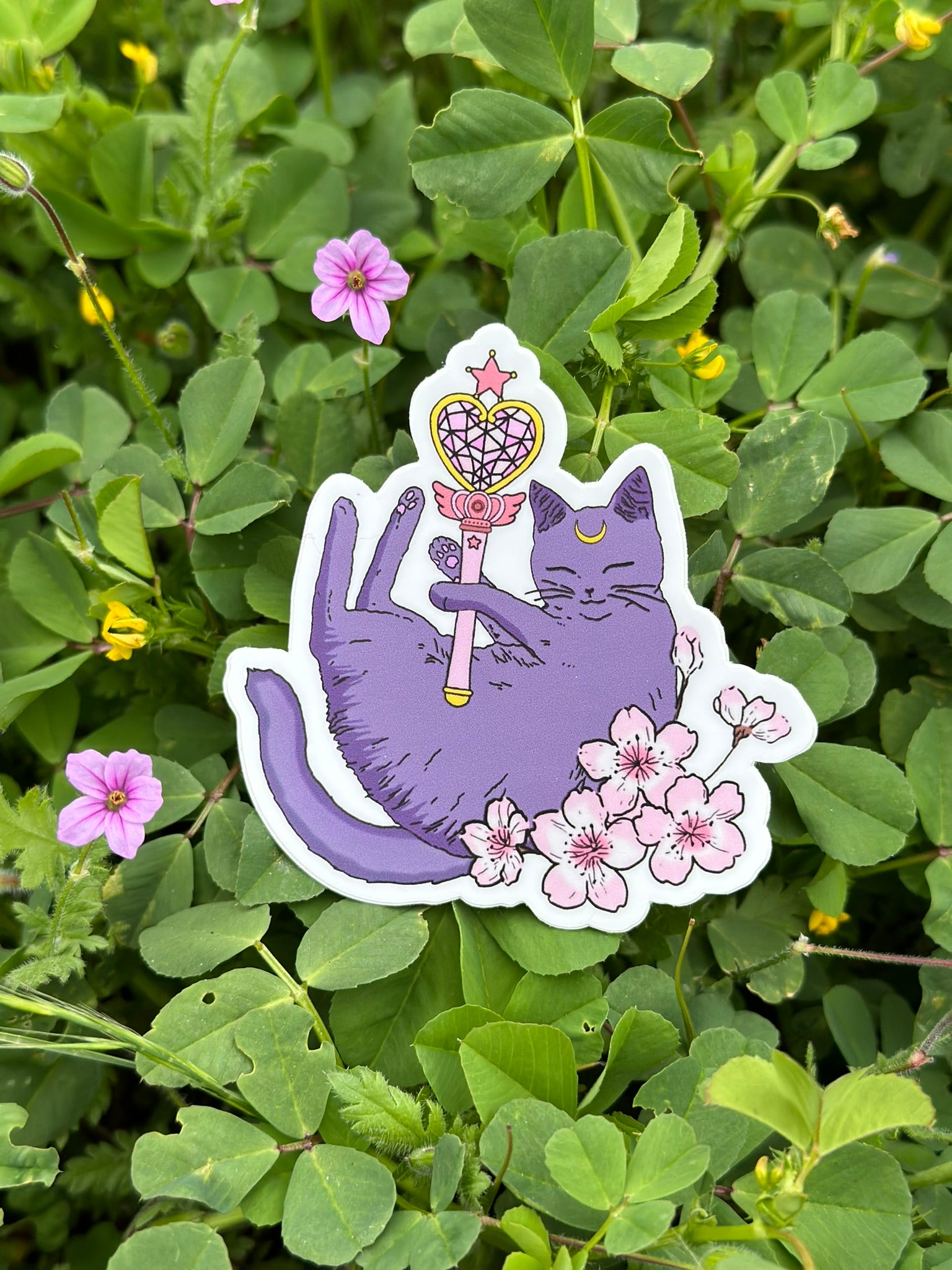 Magical cat